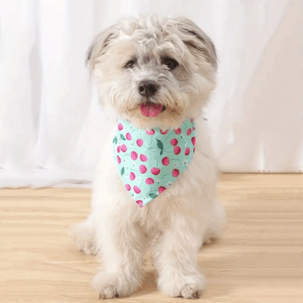 BANDANAVERDE - Productos de calidad para tu mascota en Cocco Pet