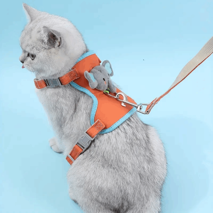 HARNESSELECAT - Productos de calidad para tu mascota en Cocco Pet