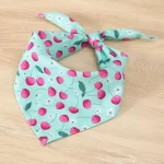 bandanacherry - Productos de calidad para tu mascota en Cocco Pet
