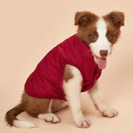 ABRIGOINF - Productos de calidad para tu mascota en Cocco Pet