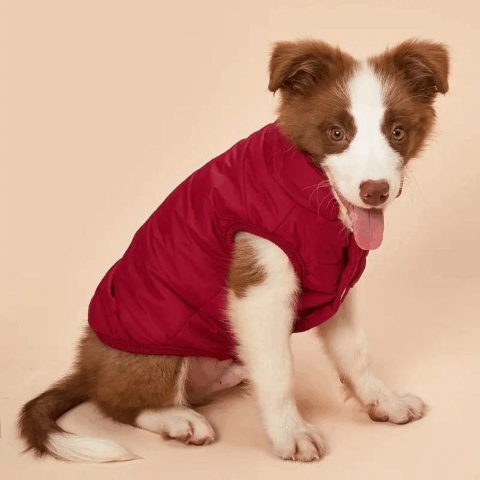 ABRIGOINF - Productos de calidad para tu mascota en Cocco Pet