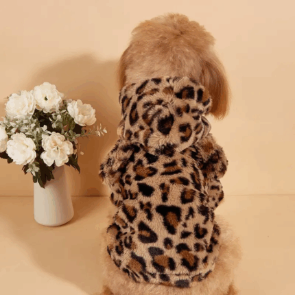 ABRIGOLEO - Productos de calidad para tu mascota en Cocco Pet