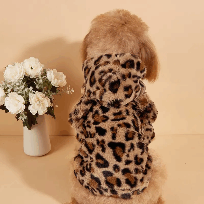 ABRIGOLEO - Productos de calidad para tu mascota en Cocco Pet