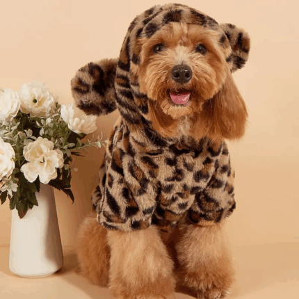 ABRIGOLEOP - Compra online en Cocco Pet y recibe en casa