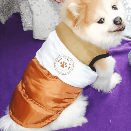 ABRIGORAYADOMARRON - Compra online en Cocco Pet y recibe en casa