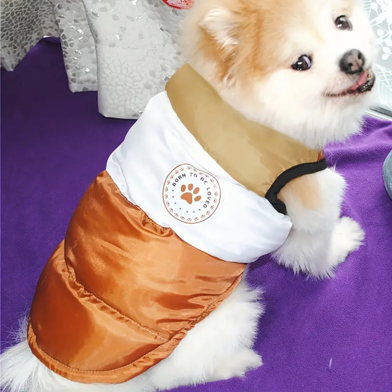 ABRIGORAYADOMARRON - Compra online en Cocco Pet y recibe en casa