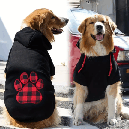 BUZONEGRO1 - Compra online en Cocco Pet y recibe en casa