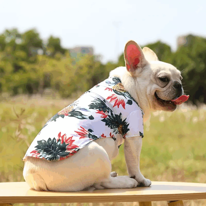 CAMISA - Accesorios para tu mascota en Cocco.pet