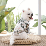CAMISAHAWA - Compra online en Cocco Pet y recibe en casa