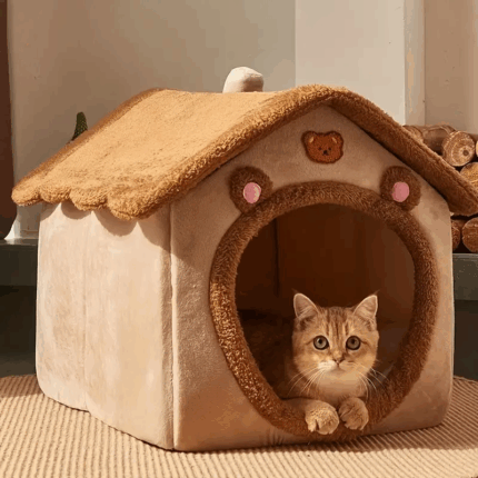 CASAGATITO - Productos de calidad para tu mascota en Cocco Pet
