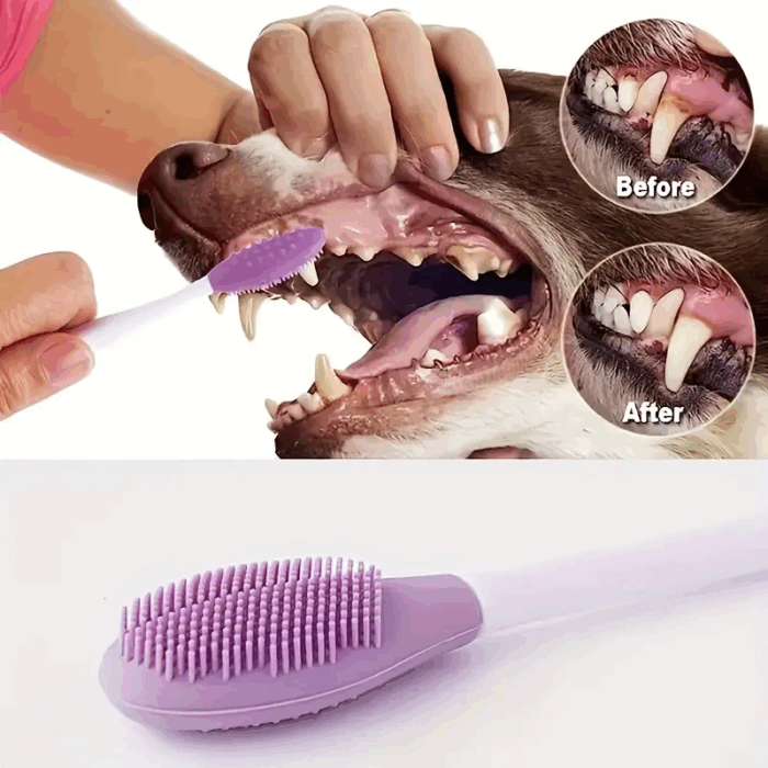 CEPILLO - Compra online en Cocco Pet y recibe en casa