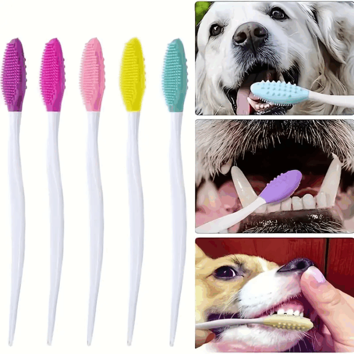 CEPILLO1 - Lo mejor para tu compañero peludo en Cocco Pet