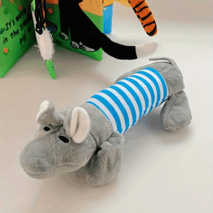 CHANCHO2 - Accesorios para tu mascota en Cocco.pet