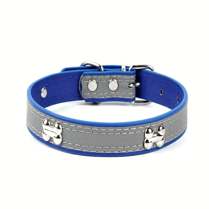 COLLARAZUL - En Cocco Pet cuidamos de tu mascota