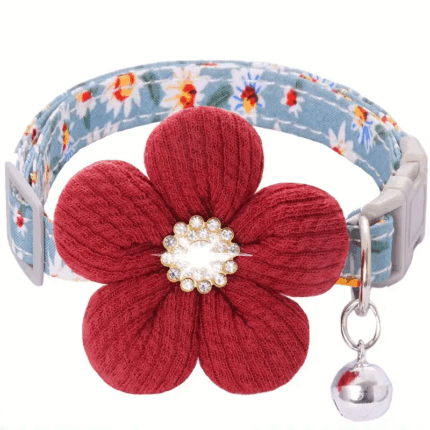 COLLARFLOR - Lo mejor para tu compañero peludo en Cocco Pet
