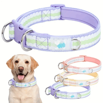 COLLARLILA - Lo mejor para tu compañero peludo en Cocco Pet