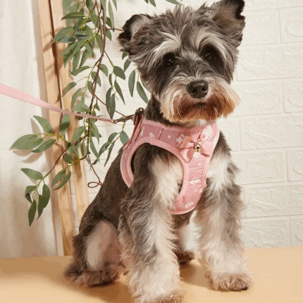 HARNESSROSA1 - Lo mejor para tu compañero peludo en Cocco Pet