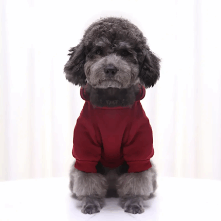 HOODIEROJO - En Cocco Pet cuidamos de tu mascota