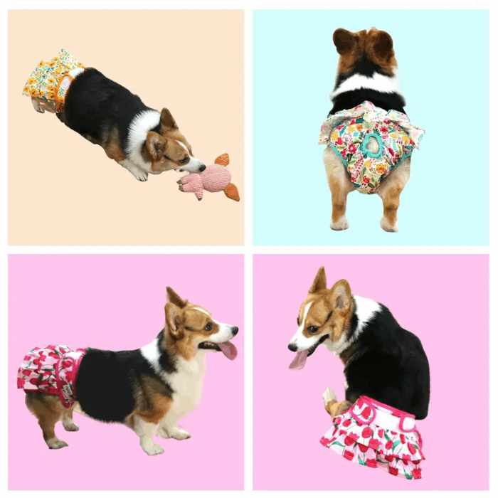 PANAL3 - Productos de calidad para tu mascota en Cocco Pet