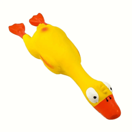PATO - En Cocco Pet cuidamos de tu mascota