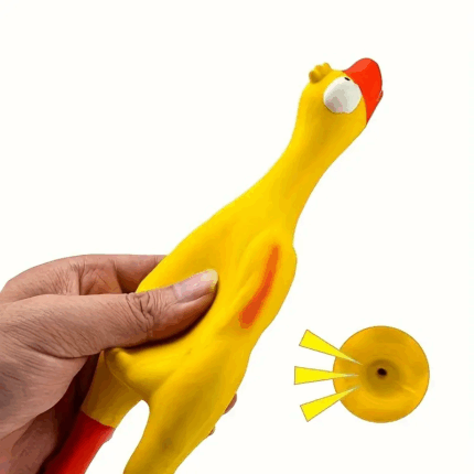 PATO1 - En Cocco Pet cuidamos de tu mascota