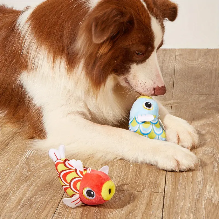 PECECITO - Lo mejor para tu compañero peludo en Cocco Pet