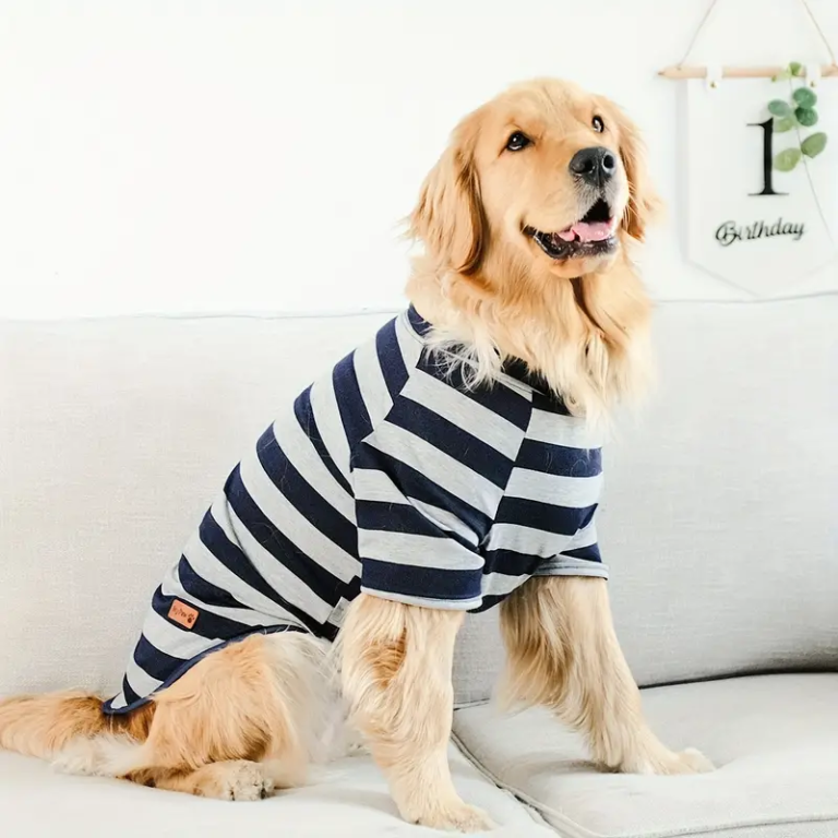 PERROGRANDE - Compra online en Cocco Pet y recibe en casa