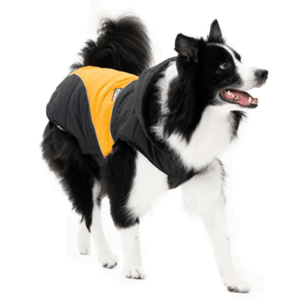 PERROMED - Accesorios para tu mascota en Cocco.pet