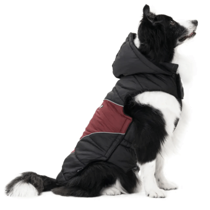 PERROMEDI1 - Productos de calidad para tu mascota en Cocco Pet