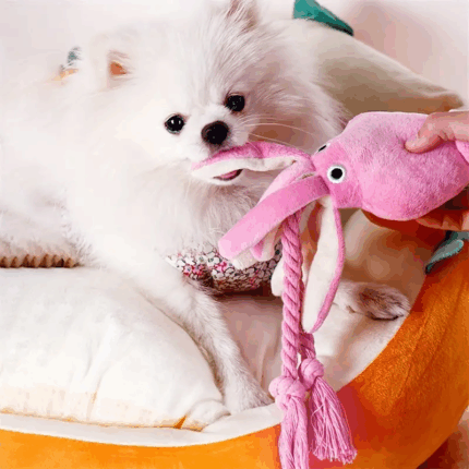 PULPO - Compra online en Cocco Pet y recibe en casa