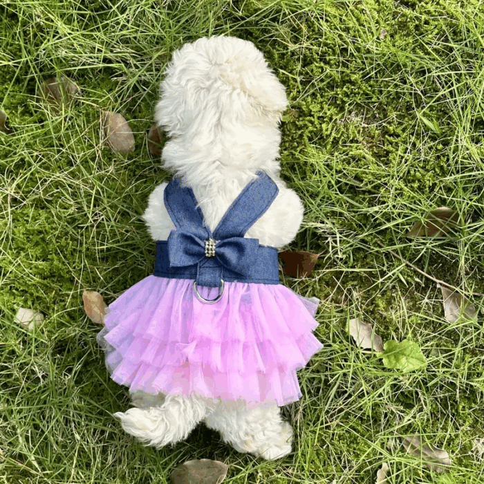 VCHARNESS - Compra online en Cocco Pet y recibe en casa