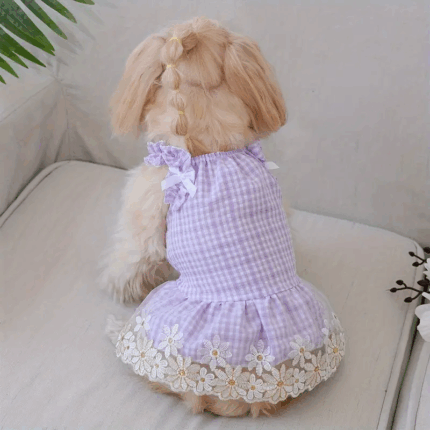 VESTIDOLILA - Lo mejor para tu compañero peludo en Cocco Pet