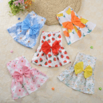 VESTIDOS - Productos de calidad para tu mascota en Cocco Pet