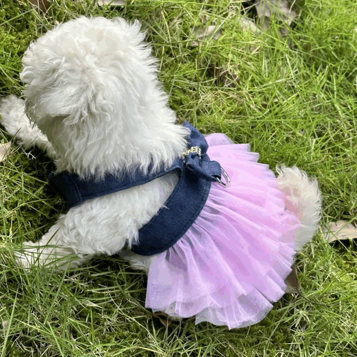 VHARNESS - Lo mejor para tu compañero peludo en Cocco Pet