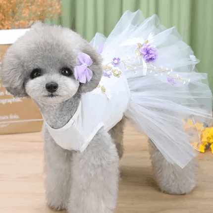 VLILACFLORES - Productos de calidad para tu mascota en Cocco Pet