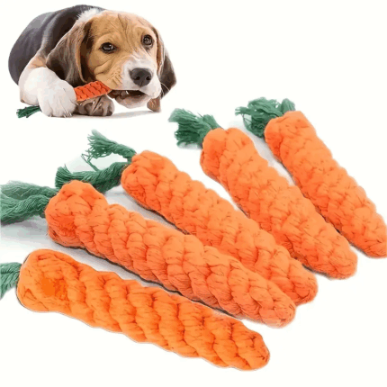 ZANAHORIA - En Cocco Pet cuidamos de tu mascota