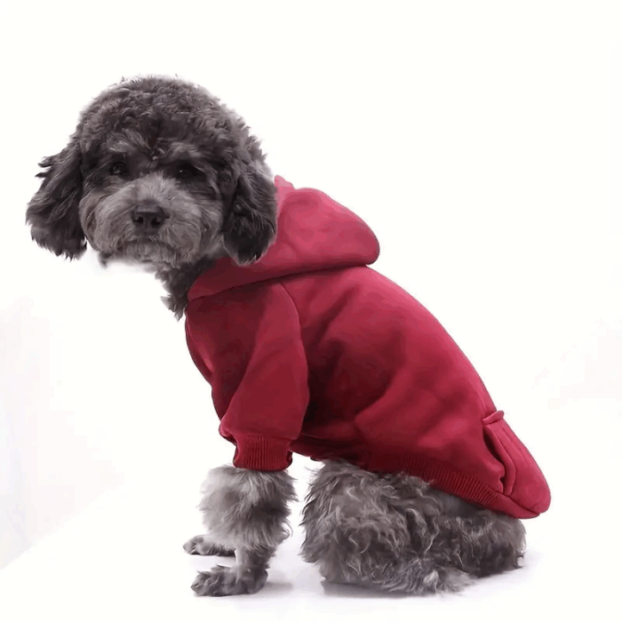 buzorojo - Productos de calidad para tu mascota en Cocco Pet