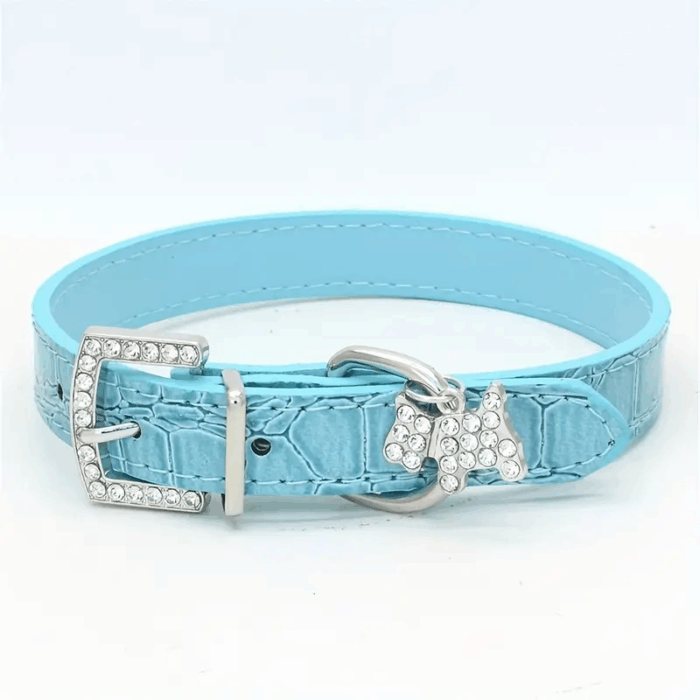 collarcperrostrass - En Cocco Pet cuidamos de tu mascota