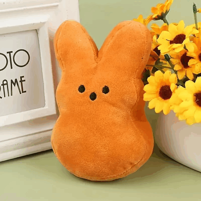 conejonaranja - Lo mejor para tu compañero peludo en Cocco Pet