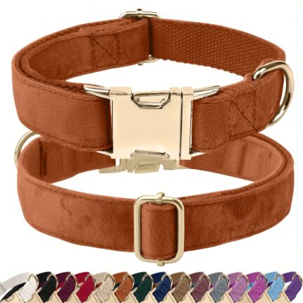 Collar de terciopelo ajustable .Hebilla dorada. Talle M