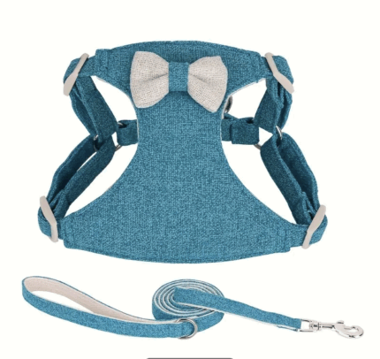 Arnes turquesa decorado c/moño. Trae correa. Talle XS