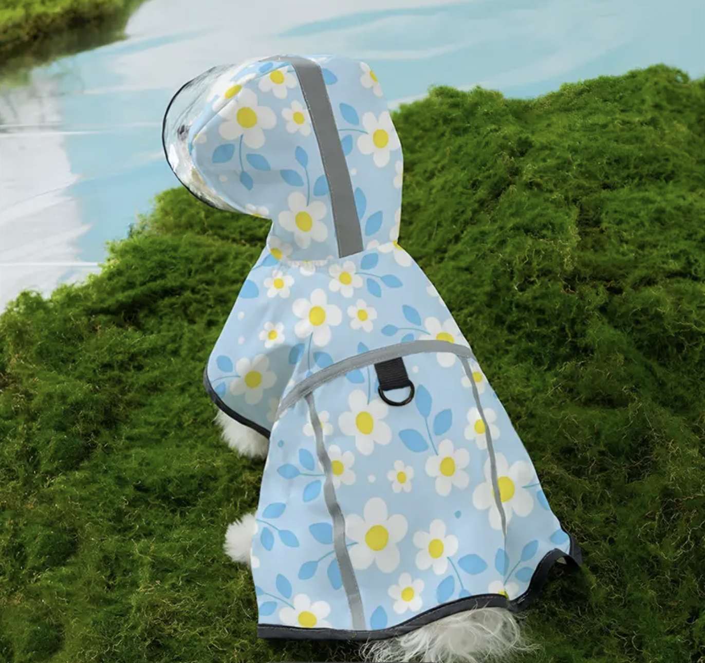 Screenshot 2025-09-22 at 10.21.24 PM