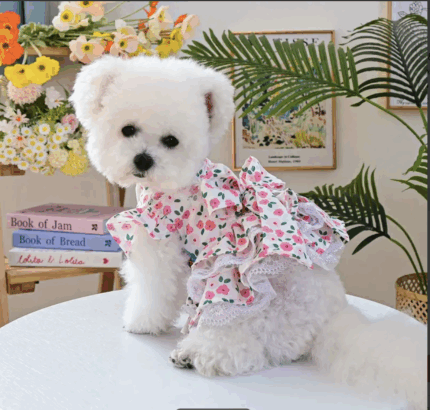 Vestido floral c/moño. Talle XL