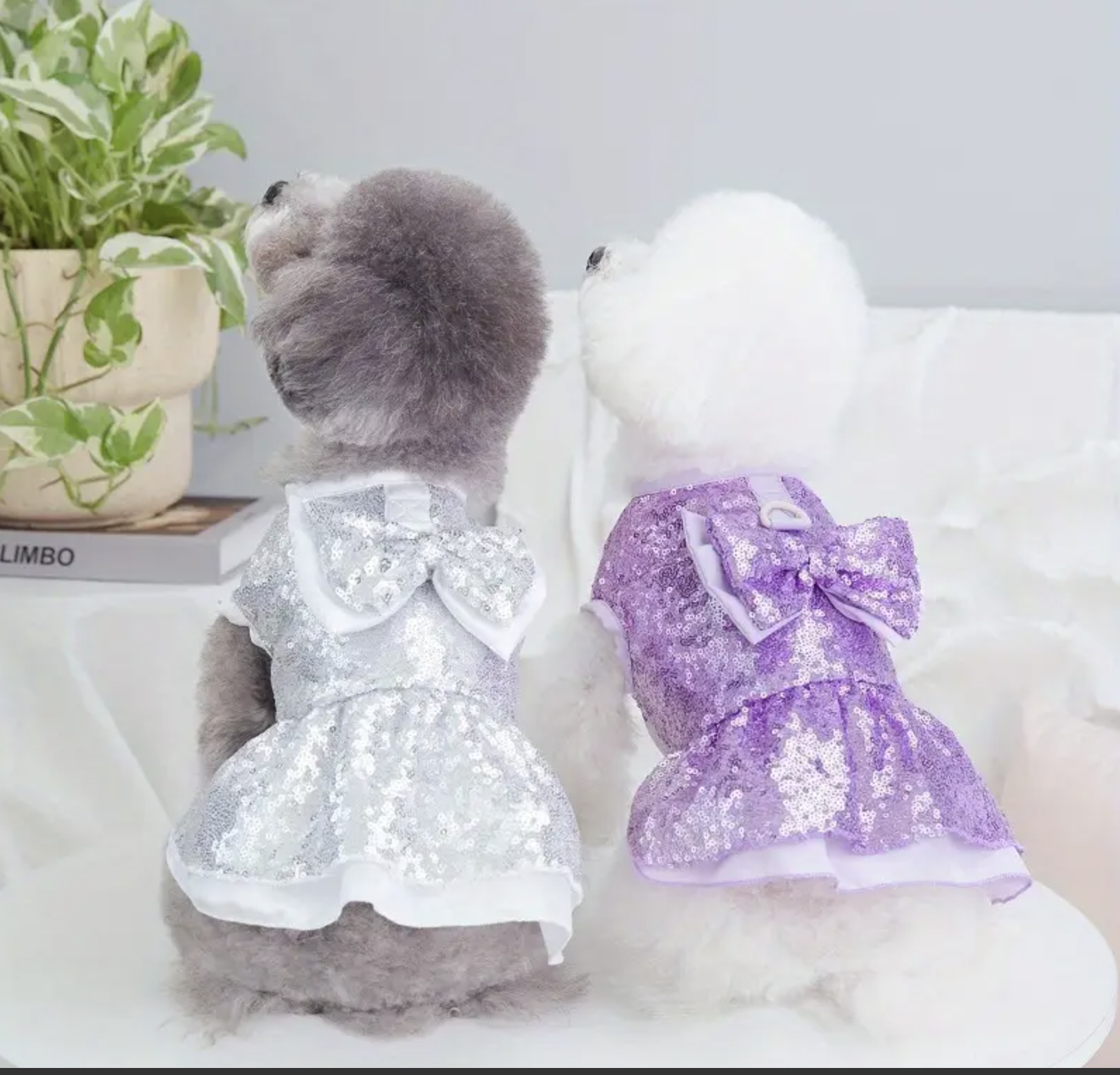 Screenshot 2025-09-25 at 6.07.03 PM