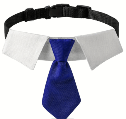 Collar estilo corbata azul.Ajustable. Talle S