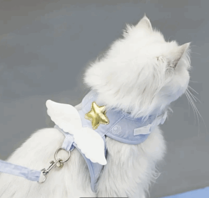 Arnes decorado c/estrella y alitas. Trae correa. Talle L