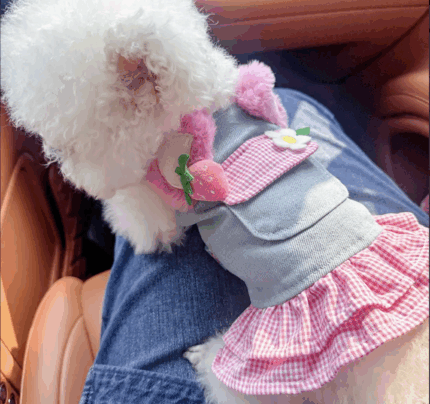 Vestido de jean c/apliques de orejita y volado en pollera. Talle L