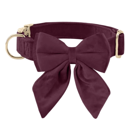 Collar aterciopelado c/moño y hebilla dorada. Ajustable.Talle M