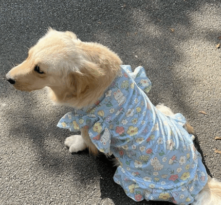 Vestido floral c/volados en hombros.Para peludos grandes. Talle 2XL