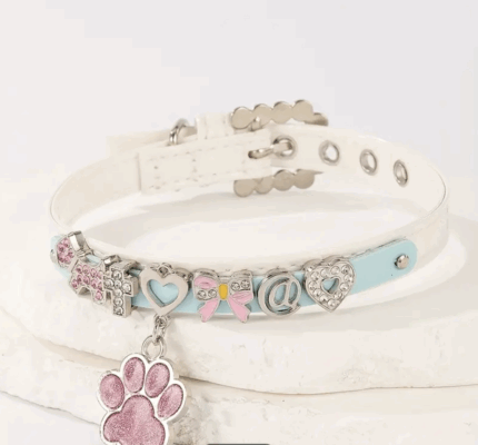 Collar simil cuero c/dijes varios de piedras. Mascotas pequeñas.Talle L